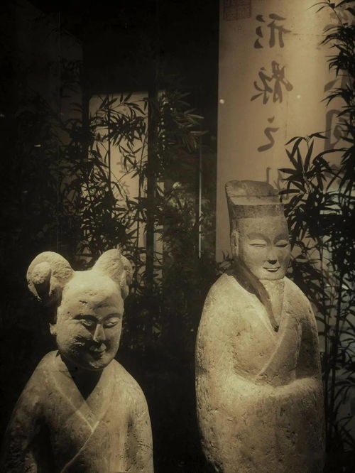 光影詩篇，竹韻新生——南京六朝博物館的建筑美學與鋼筋材料的現代演繹